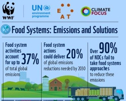 Global Food System 