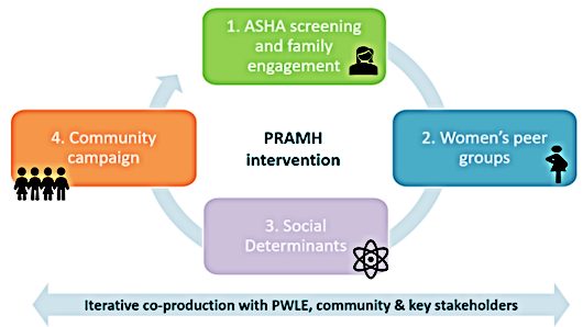 community-based perinatal mental health