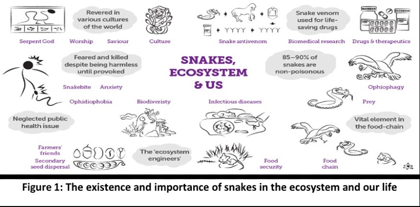 slangen, het ecosysteem