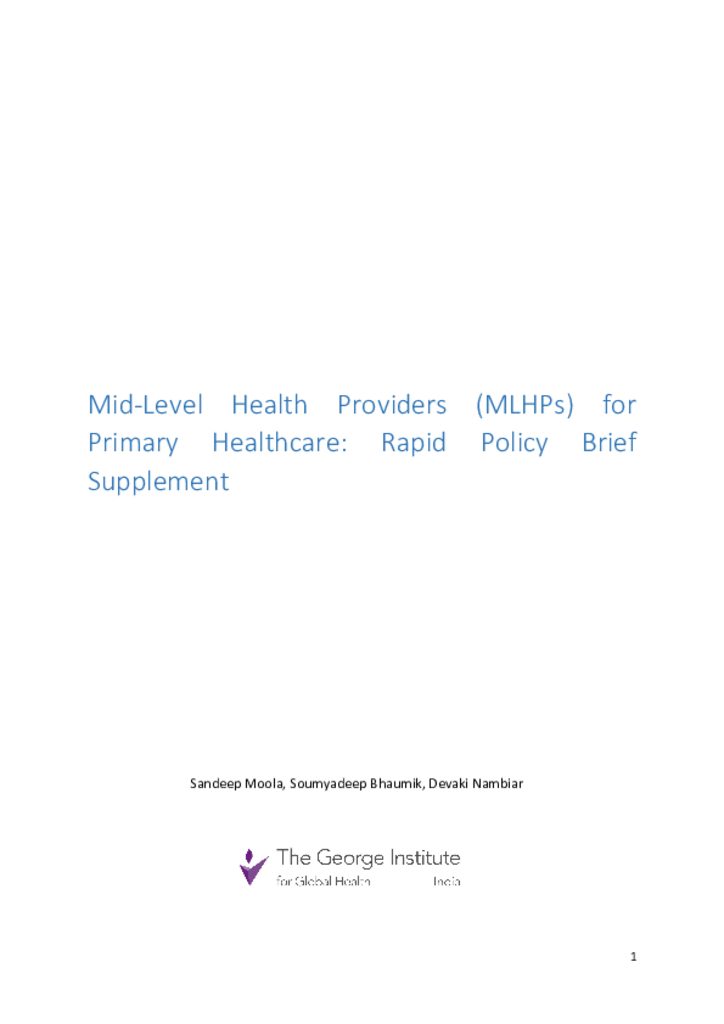 MLPH policy brief supplement