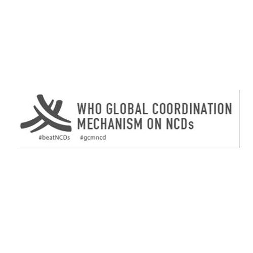 who global coordination mechanism on ncds