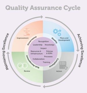 quality assurance lifecycle