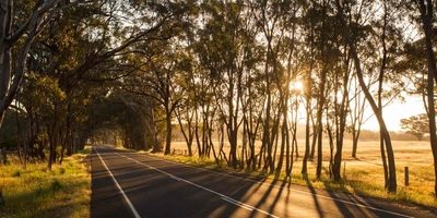 NSW safe speed initiatives