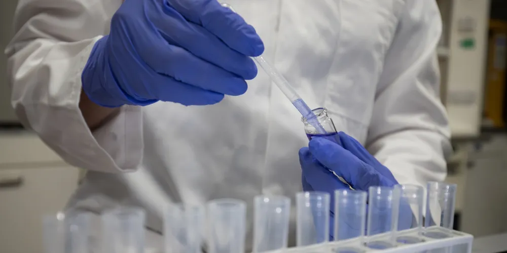 Research Funding
