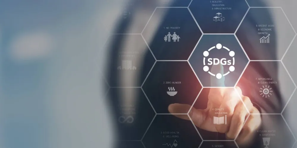 Towards 2030 using pandemic insights to build sustainable economies