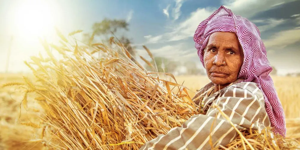 Rising Heat Stress Poses Grave Occupational Health Risks for Workers