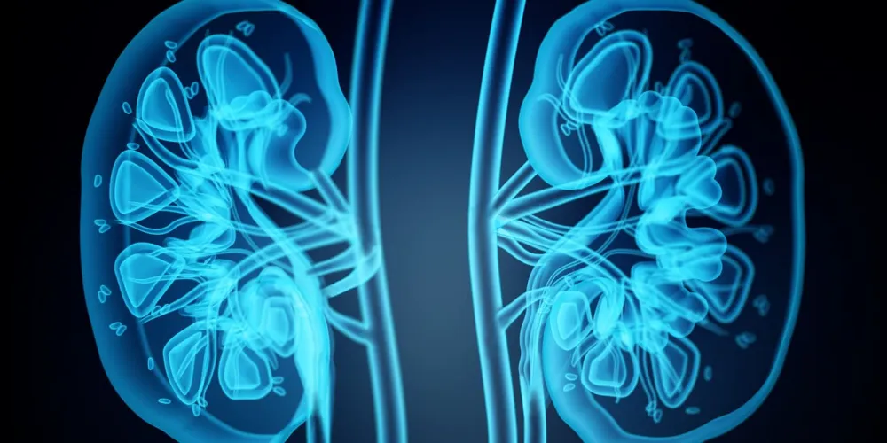 Nephrology life participation