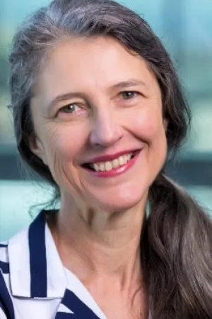 Dr Gill Schierhout