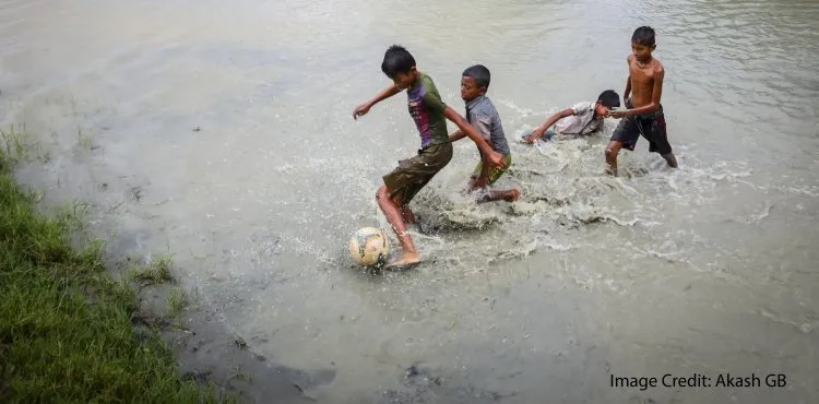 sunderban